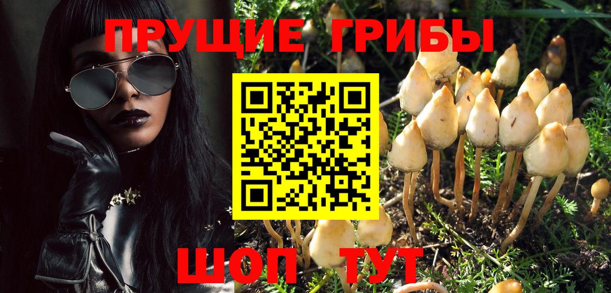 Мурманск  Галлюциногенные грибы GOLDEN TEACHER  Вход с VPN  Галлюциногенные грибы Psilocybine cubensis 