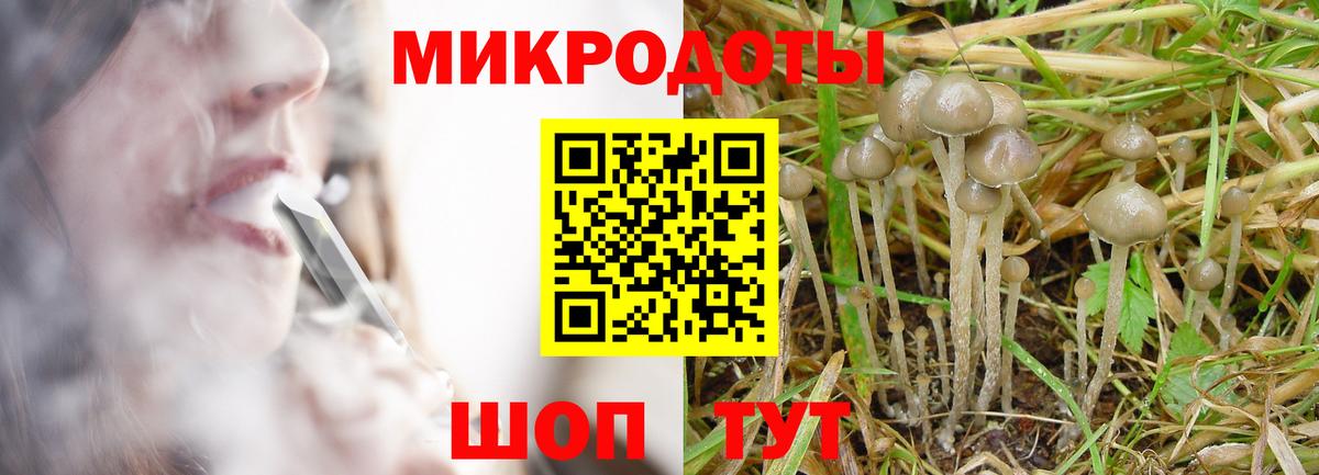 Псилоцибиновые грибы MAGIC MUSHROOMS Мурманск